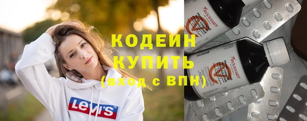 гашик Арсеньев