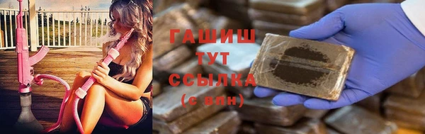 сатива Аркадак