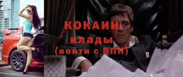 сатива Аркадак