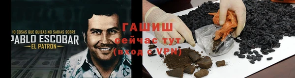 гашик Арсеньев