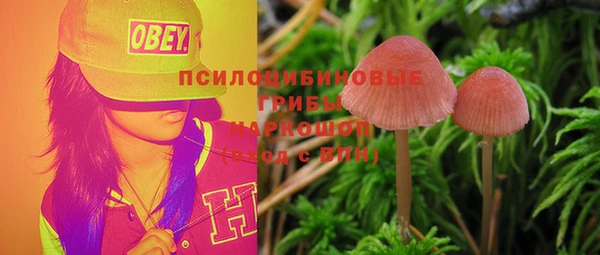 прущие крисы Баксан