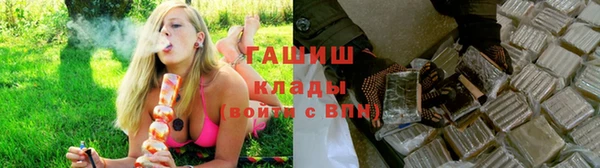 гашик Арсеньев