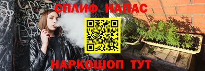 метадон Сланцы