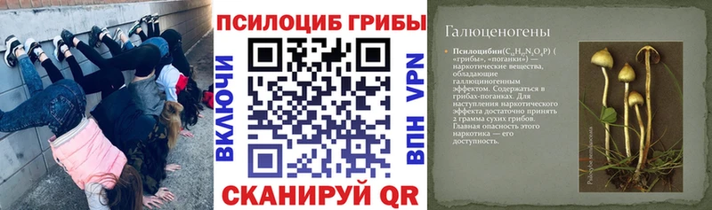 Галлюциногенные грибы GOLDEN TEACHER  Радужный 