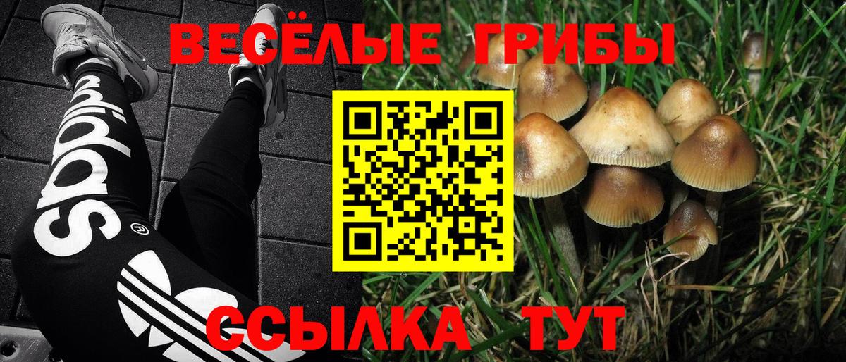 Радужный  Псилоцибиновые грибы ЛСД  Псилоцибиновые грибы Psilocybe  Вход с VPN 